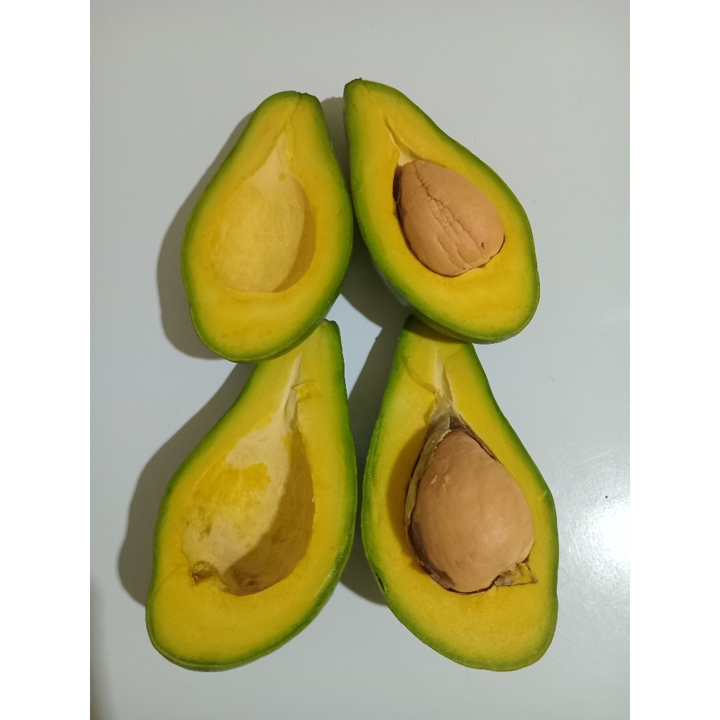

Alpukat Mentega Organik 1 Kg