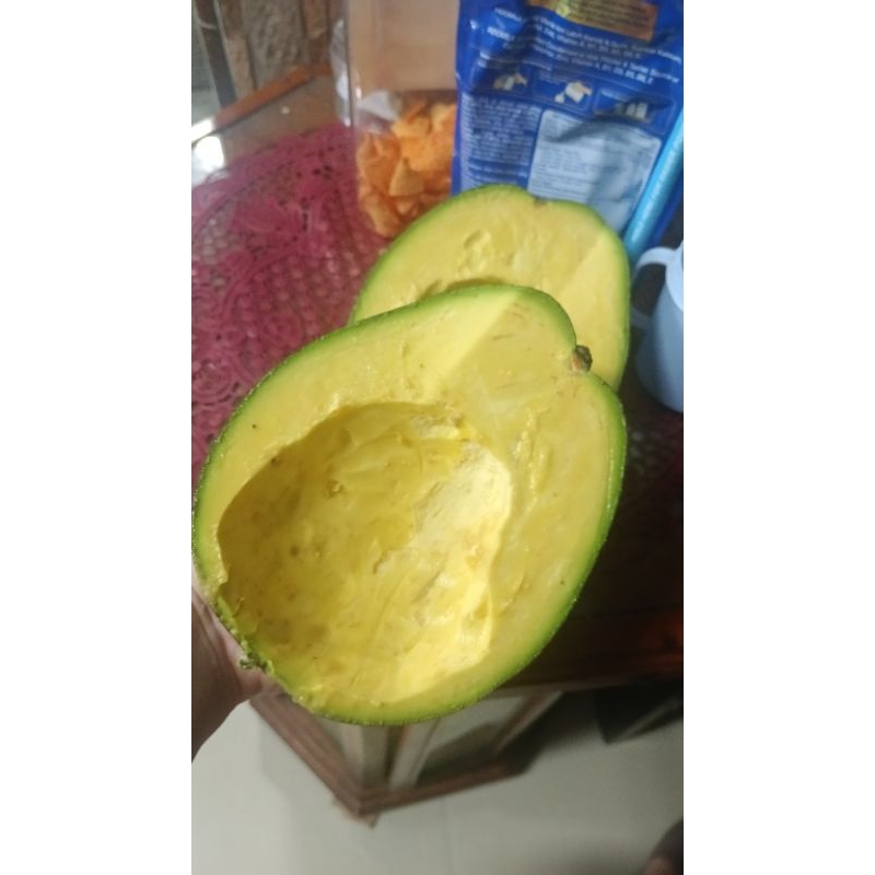 

alpukat mentega kendil