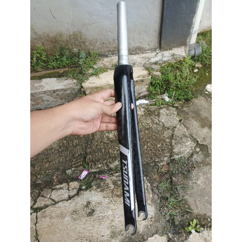 Fork 700c Tsunami Alucarbon like Alpina second