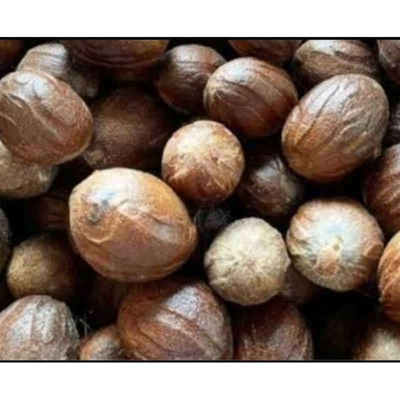 

biji pala lonjong asli utuh dengan kulit/polo/100g/250g