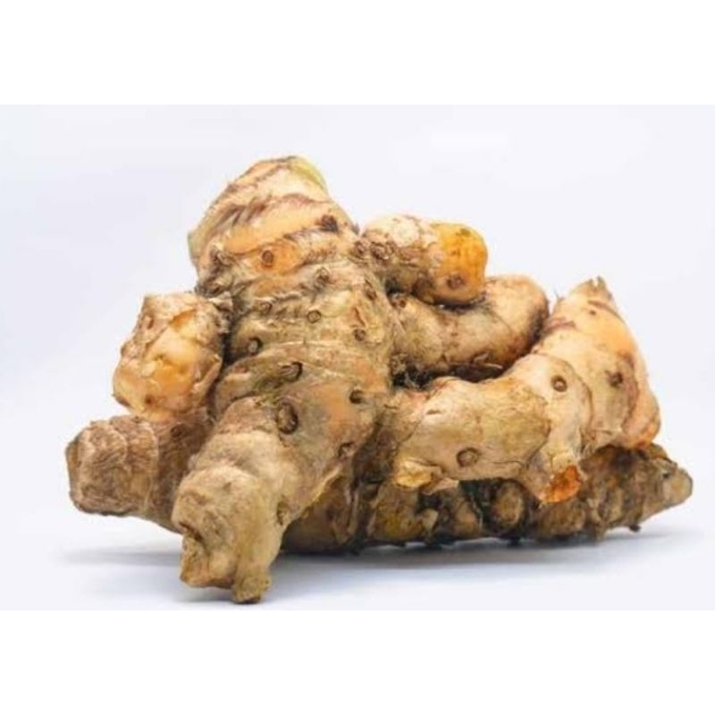 

Temulawak fresh temulawak organik 500 gram-az