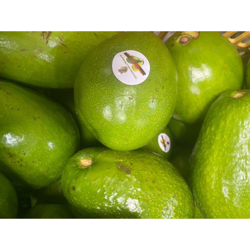 

alpukat mentega 3kg