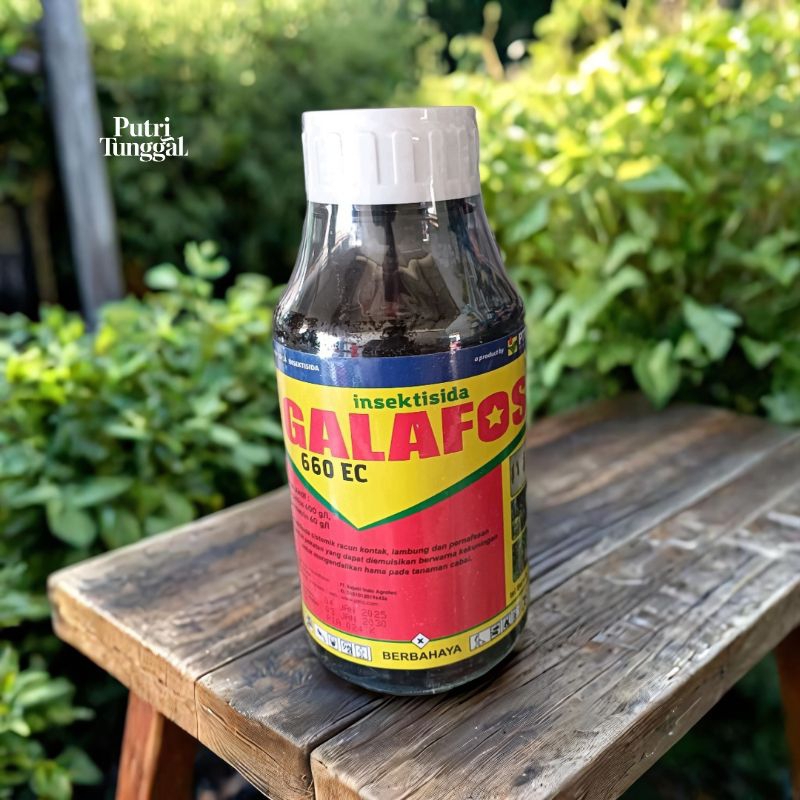 Galafos 660EC insektisida pembasmi hama