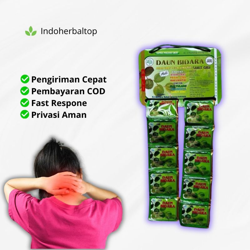 

Daun Bidara Renceng