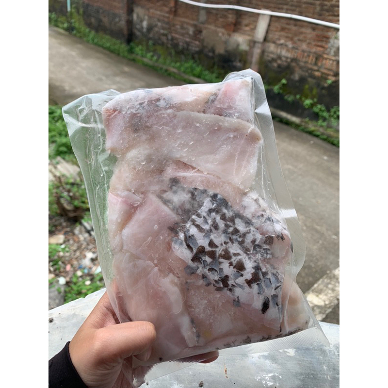 

KAKAP PUTIH FILLET 500gr