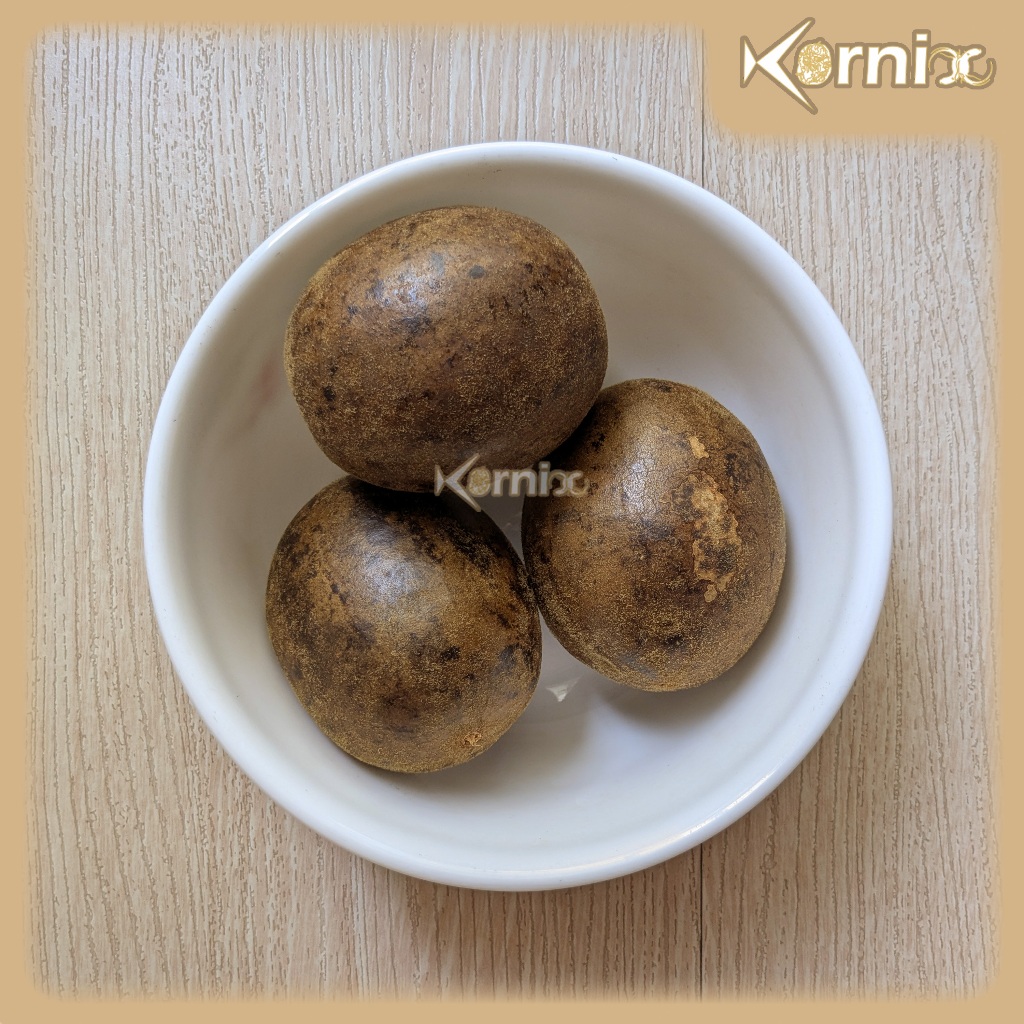 

Lo Han Kuo / Guo LoHanKuo LoHanKo Premium Besar Jumbo [per Buah] — Pereda Panas Dalam