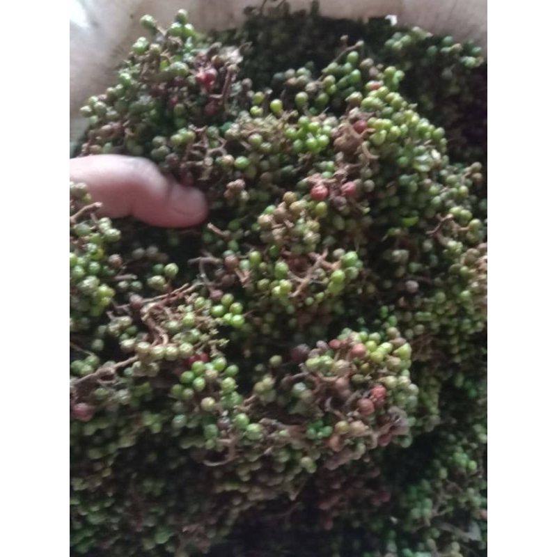 

ANDALIMAN bumbu khas Batak - 250 gram