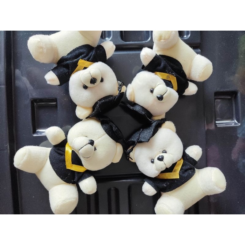 Boneka wisuda, beruang wisuda, boneka untuk tambahan buket, bucket, bisa custom boneka tanpa toga