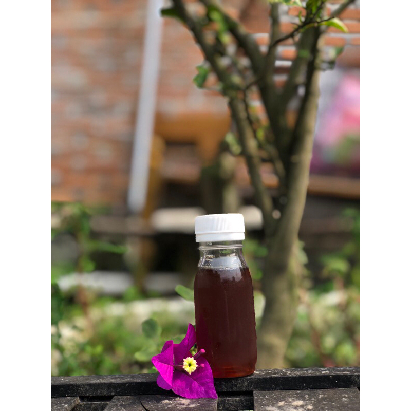 

Madu Asli Hutan Pekanbaru