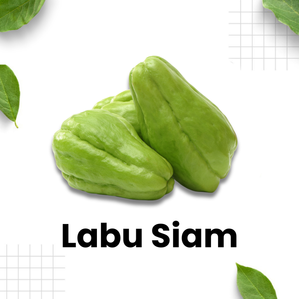 

Labu Siam Segar 1 Biji / labu / sayur segar / sayuran hijau / Sidoarjo Surabaya