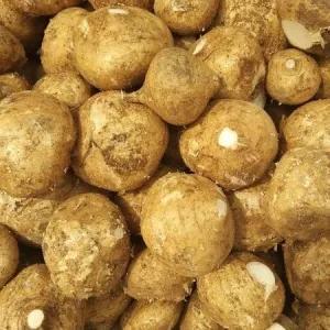 

bengkoang 1000g
