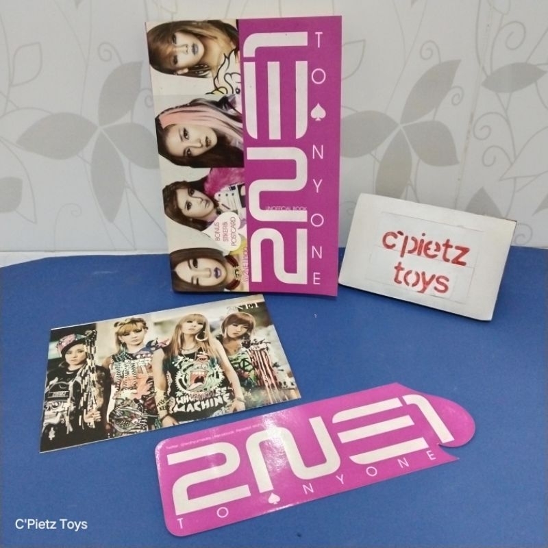 Buku Unofficial Book 2NE1 TO ANYONE (Second/Preloved)