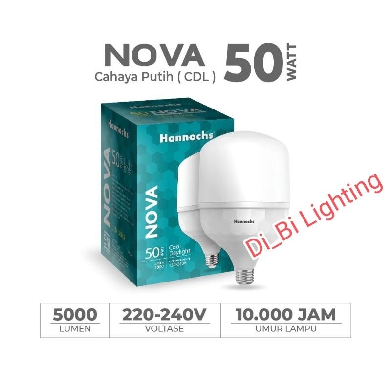 Lampu led Hannochs 50watt