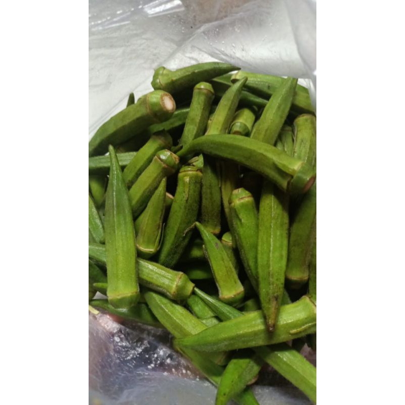 

Sayur okra segar untuk kesehatan , pengobatan dll
