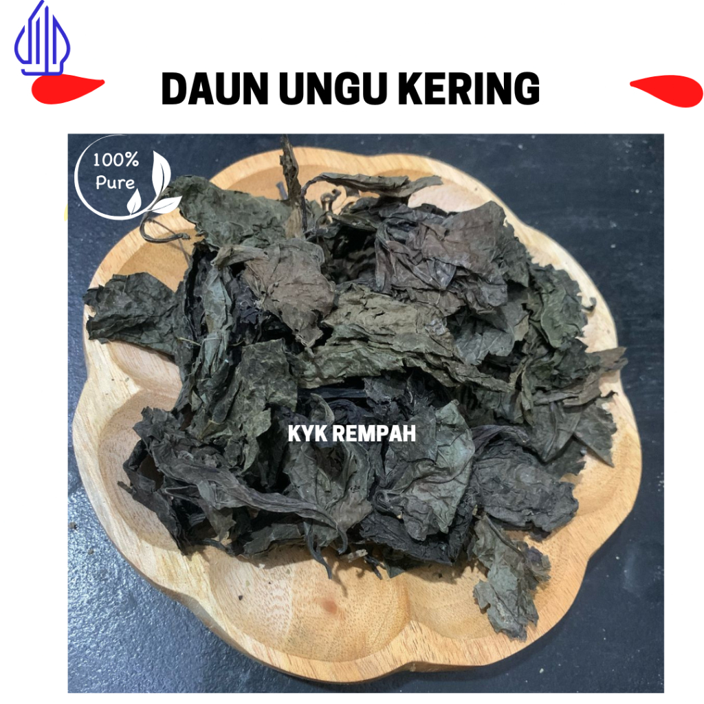 

Daun Ungu Kering Handeuleum untuk Wasir & Ambeien