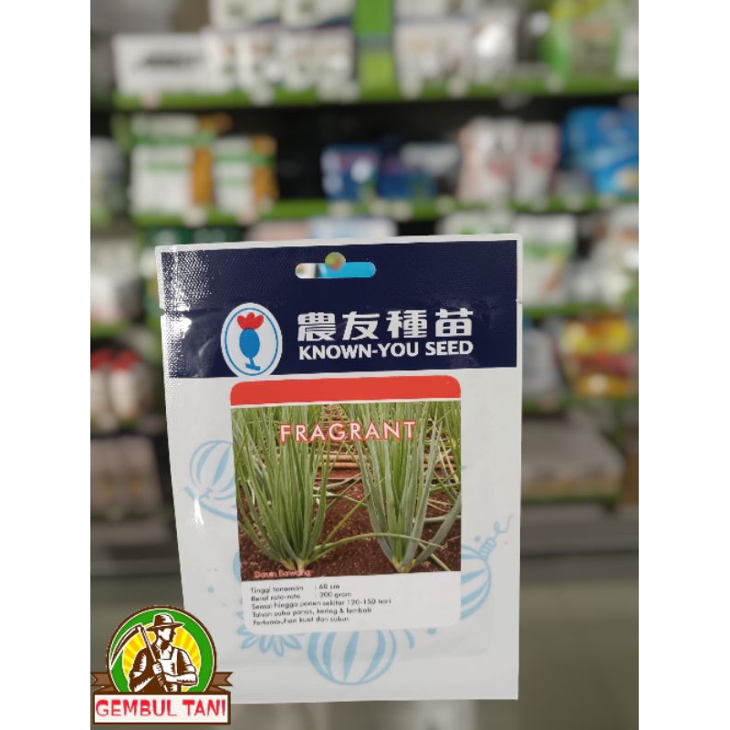 FRAGRANT - benih daun bawang.
