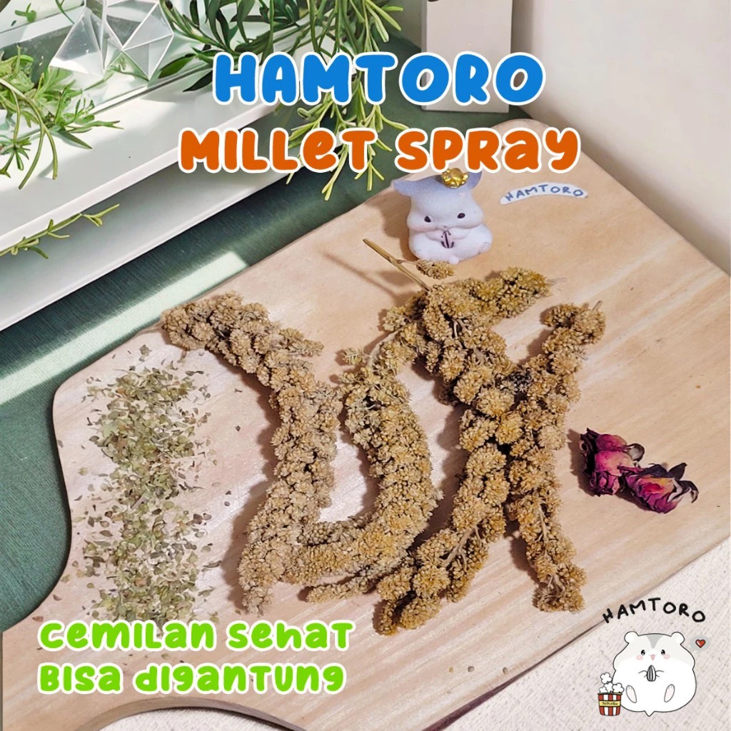 Hamtoro Millet/milet Spray Snack Hamster/Burung Jewawut Tangkai