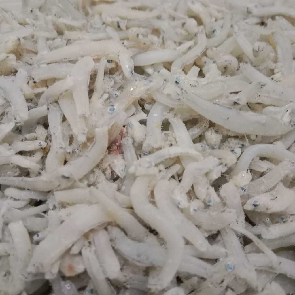 

Ikan teri touge vip 500gram