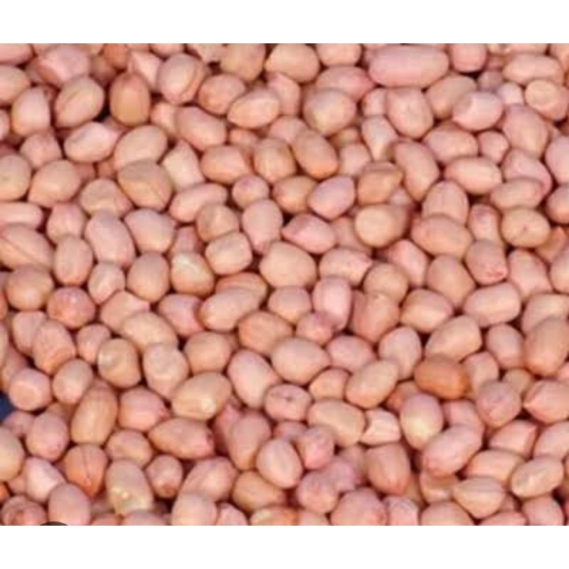 

KACANG TANAH MADURA 1 Kg