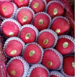 

Apel Fuji rosy wider ways premium ( 2 pcs) 450g