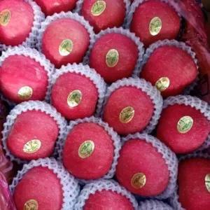 

Apel Fuji rosy wider ways premium 900g