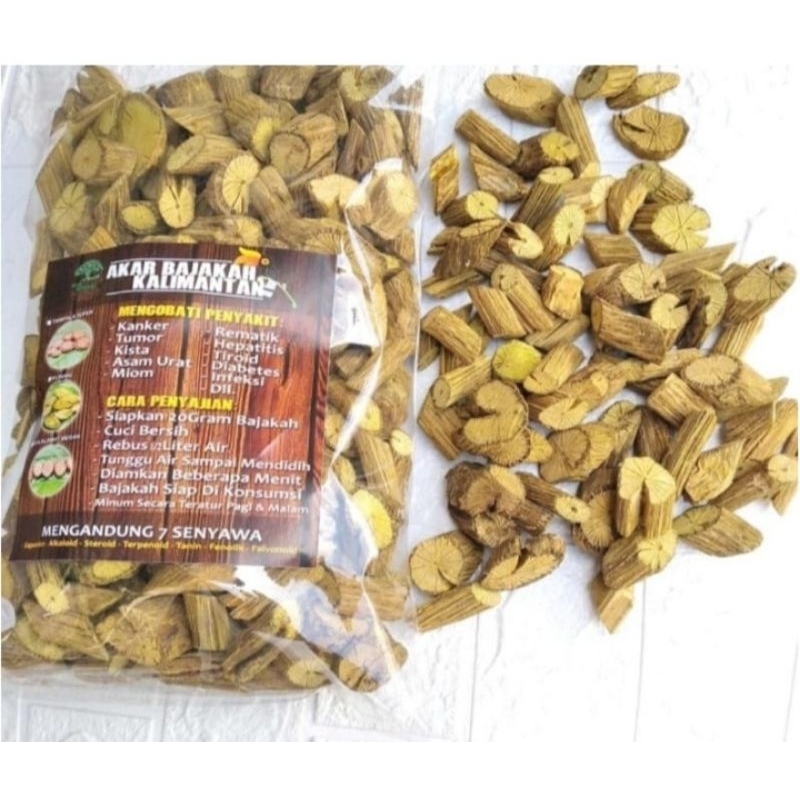 

BAJAKAH AKAR KUNING 500 GRAM