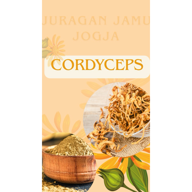 

jogja cordisep jamur flower kering