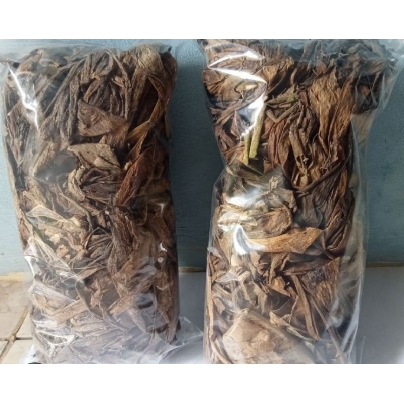 

Daun ekor naga kering natural per 2 bungkus