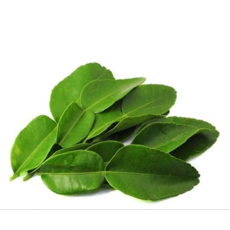

daun jeruk purut segar 50gr