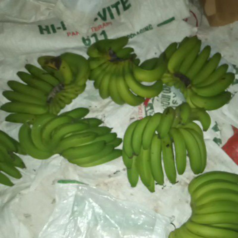 

Buah pisang Kavendish 1 sisir