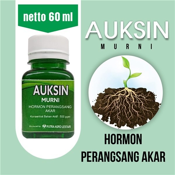 HORMON ZPT AUKSIN - PERANGSANG PERTUMBUHAN AKAR UNTUK SEMUA JENIS TANAMAN SAYURAN, BUAH DAN BUNGA