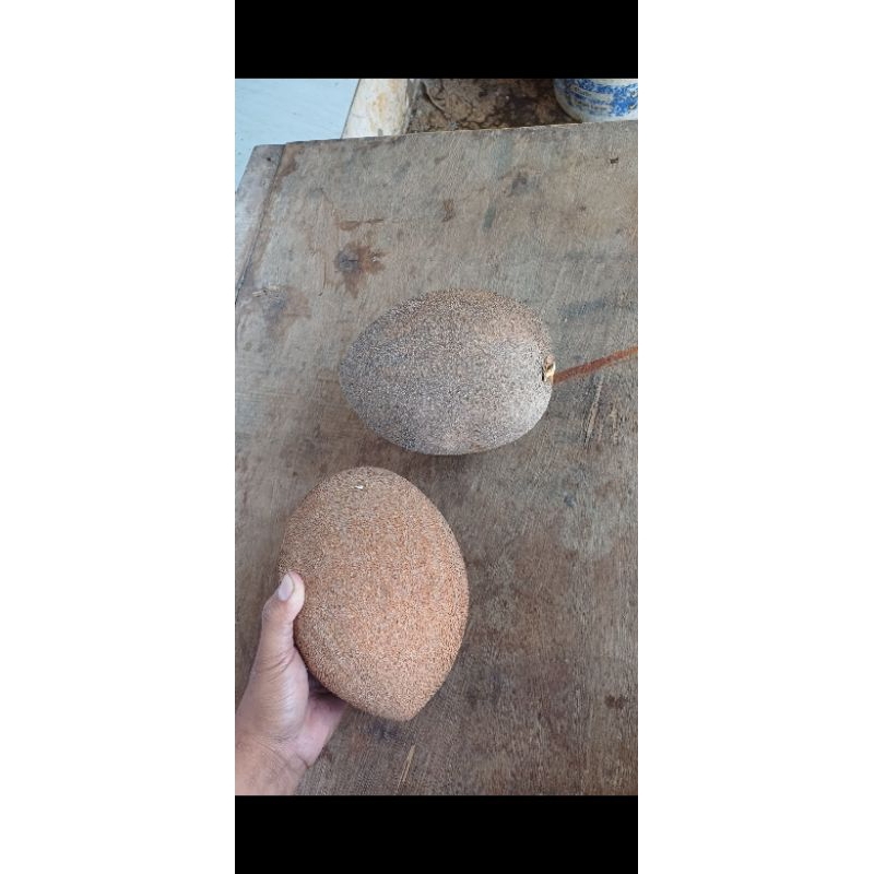

buah mamey sapote Magana