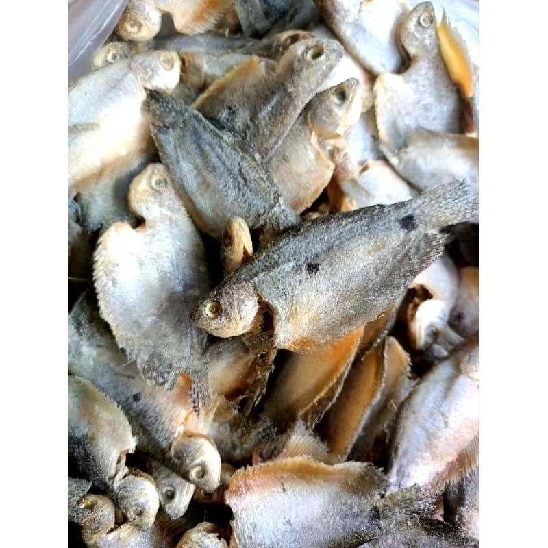 

Ikan Asin Sepat Kecil Murah