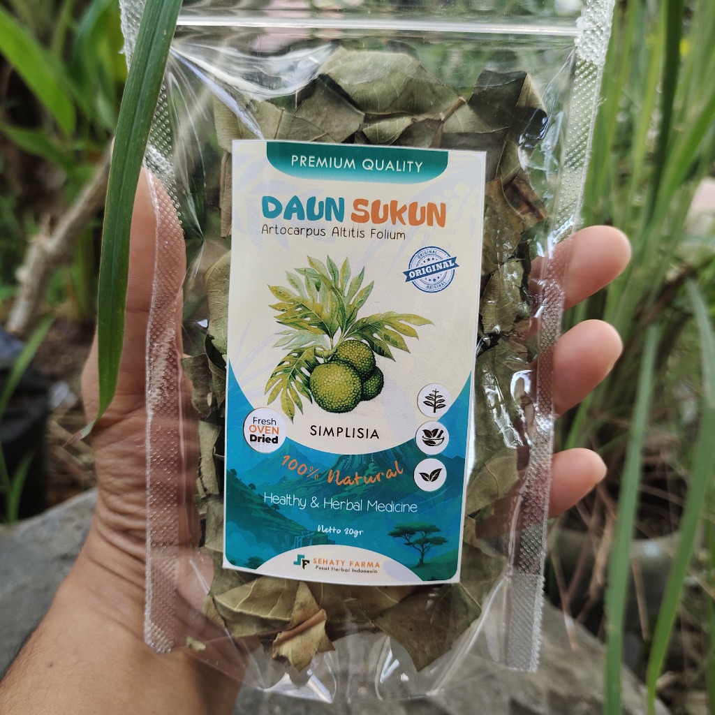 

DAUN SUKUN KERING ORIGINAL PREMIUM FRESH OVEN | BREADFRUIT LEAVES DRIED