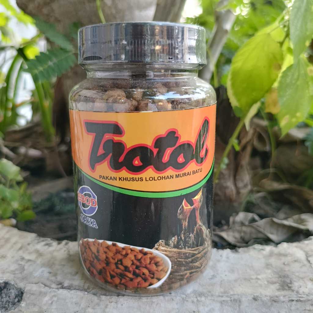 VOER LOLOHAN EBOD TROTOL VOER LOLOHAN MURAI BATU DAN SEMUA BURUNG KICAU