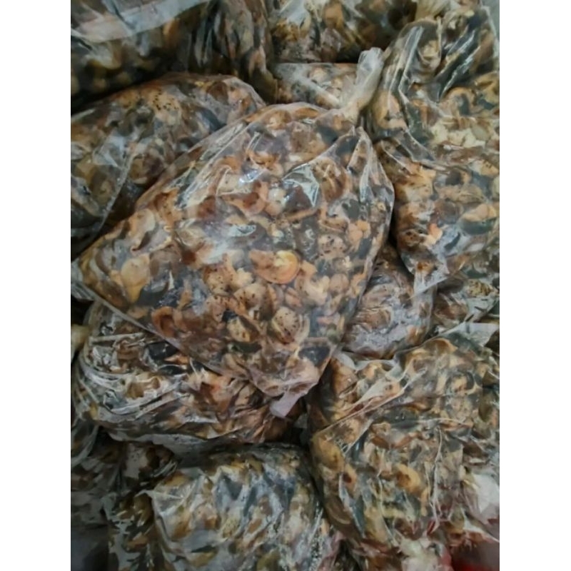 

Daging Bekicot 1kg (Sudah Rebus & Siap Masak)