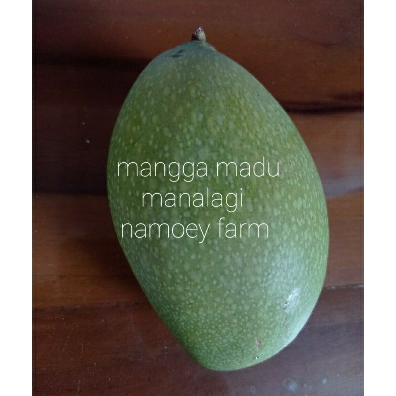 

mangga madu mangga manalagi satu kg