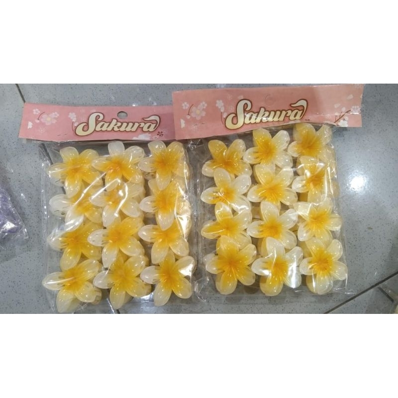 

Jedai Rambut Jepit Rambut Grosir (ISI 12 PCS)