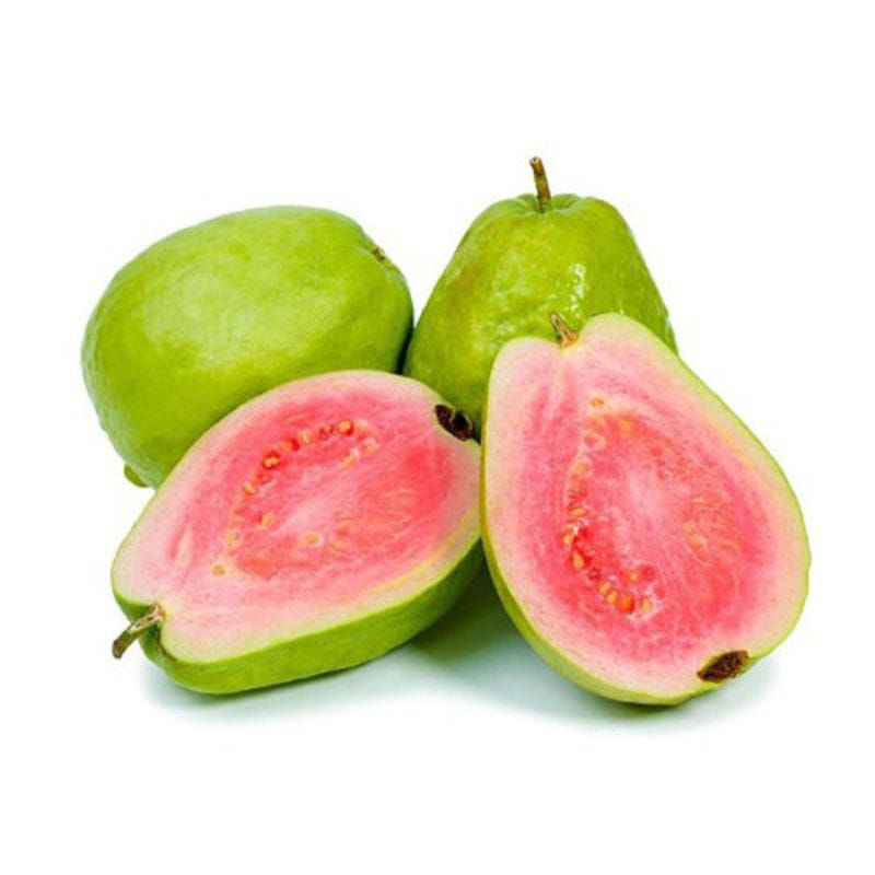 

Jambu Merah segar & Freesh , Harga Per kilo.