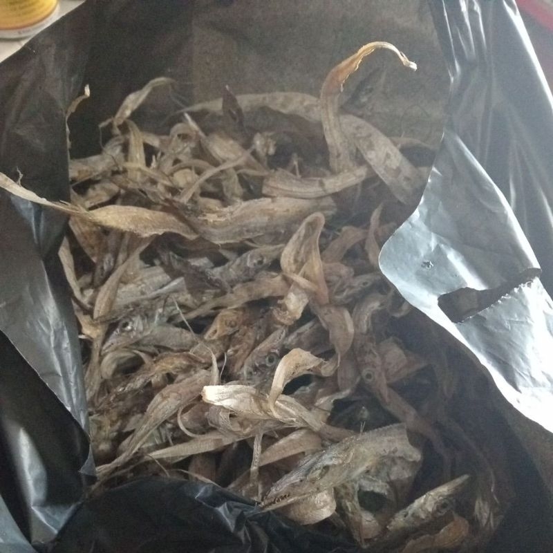 

Ikan asin tawar