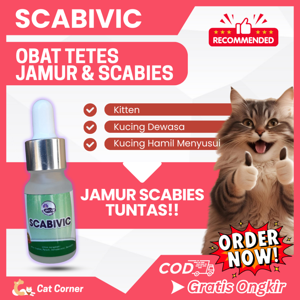 Scabivic Obat tetes jamur scabies kucing terbukti ampuh