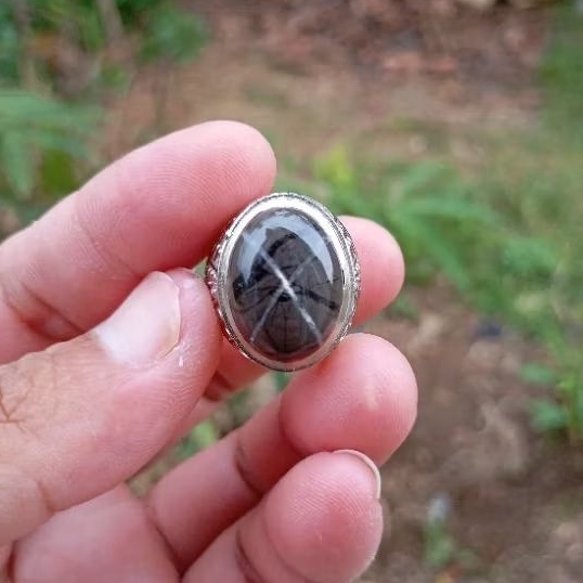 Natural cincin tapak jalak srigunting