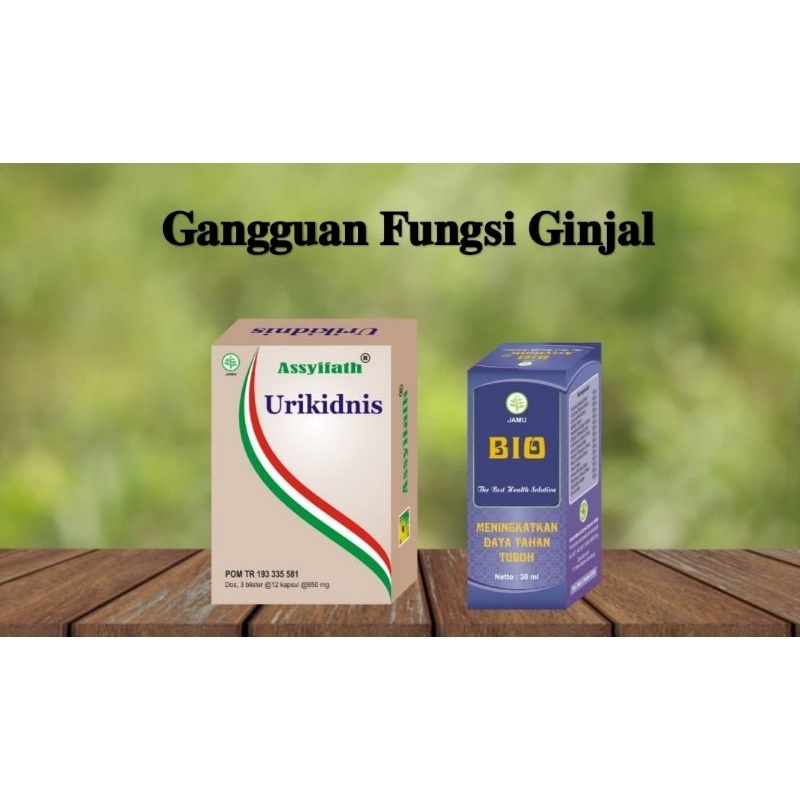 HERBAL GANGGUAN GINJAL - GANGGUAN GINJAL - ASSYIFATH