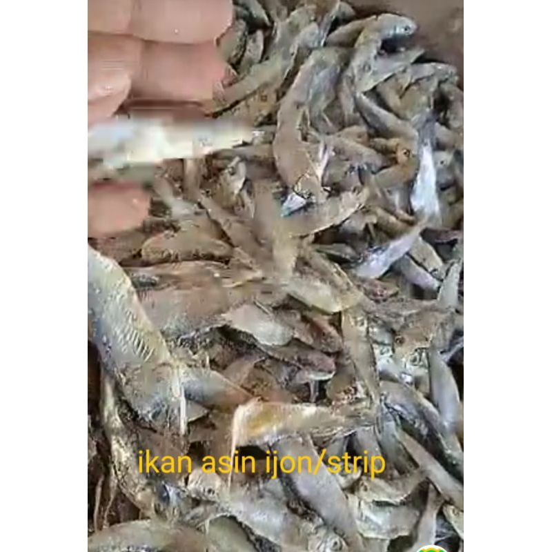 

ikan asin ijon/strip berat 250gr