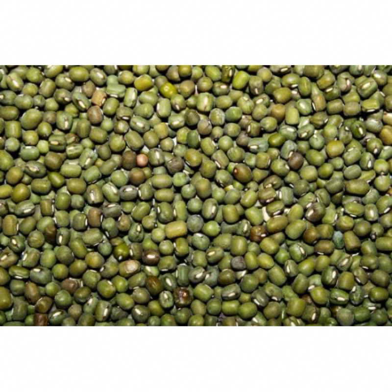 

KACANG HIJAU 250 GRAM