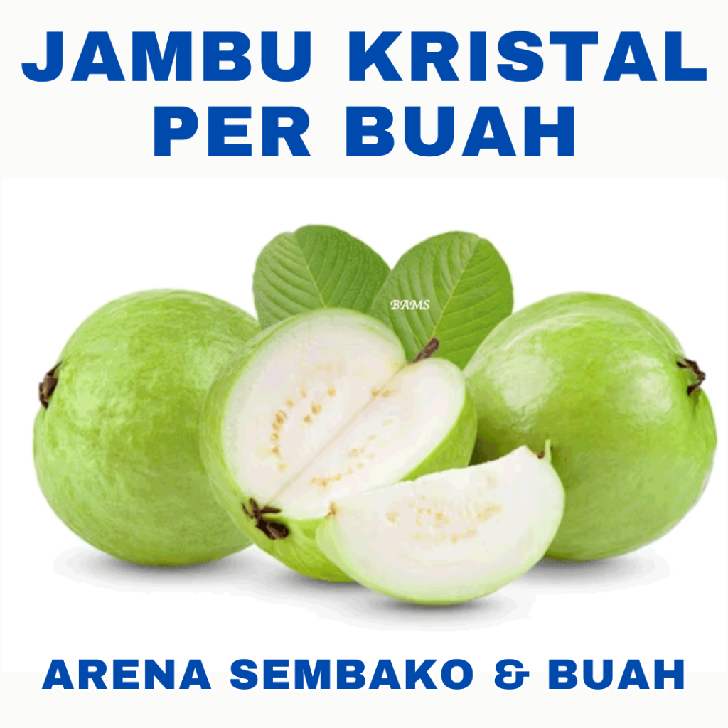 

(INSTANT ONGKIR MURAH) PROMOO BUAH JAMBU KRISTAL PER BUAH ARENA BUAH CIKARANG