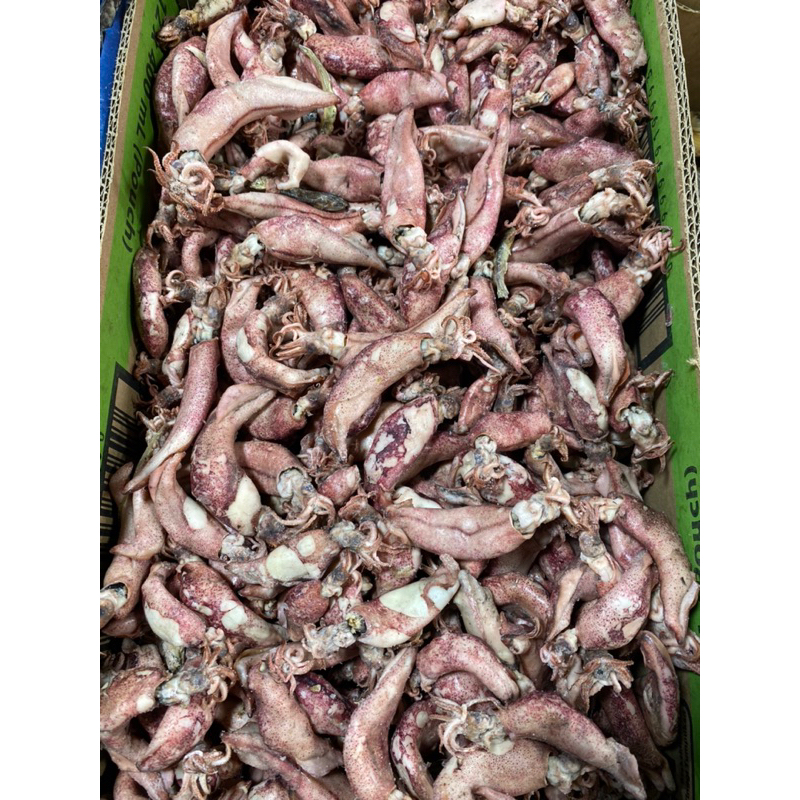 

Cumi Asin Oleh- oleh Khas Padang 250gram