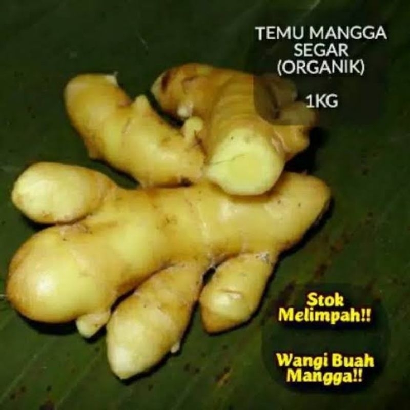 

TEMU MANGGA/KUNYIT MANGGA SEGAR NETTO 1KG SUDAH BERSIH