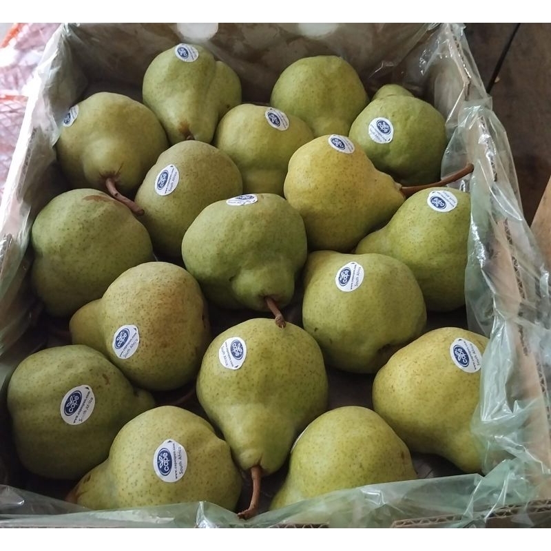 

Indukbuah Buah Pear Packam Pir Hijau Pir Jambu 1 Dus