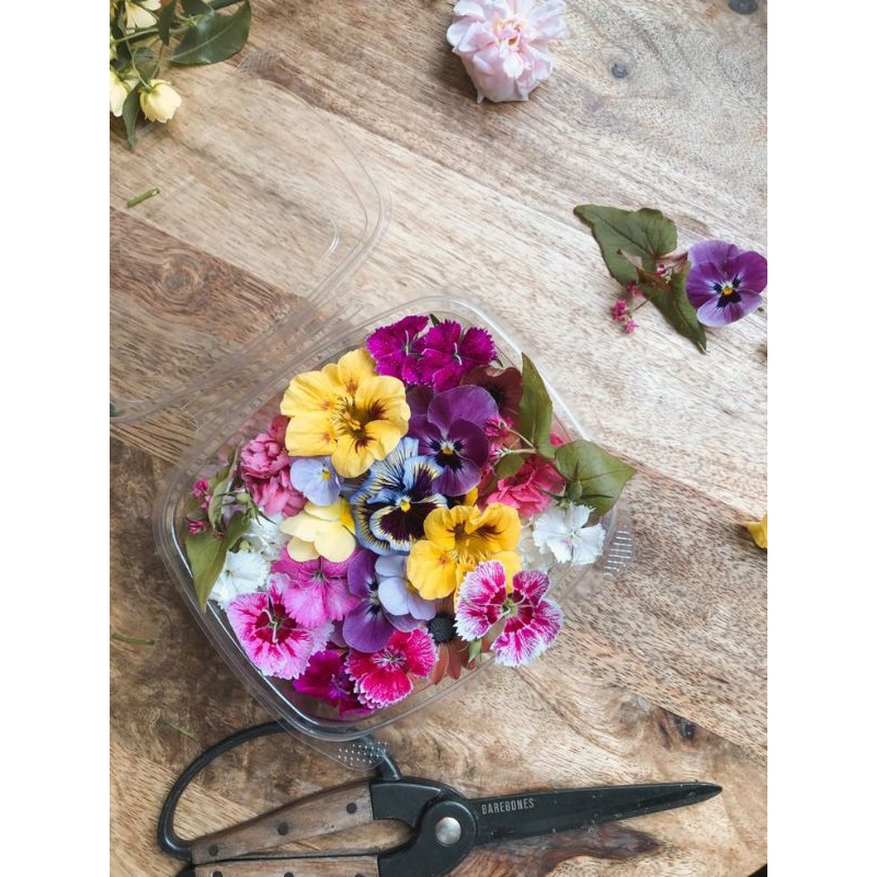 

Edible Flower Mix isi 25-30 pcs